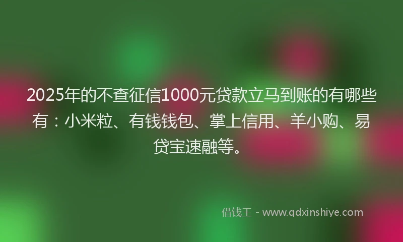 2025年的不查征信1000元贷款立马到账的有哪些有：小米粒、有钱钱包、掌上信用、羊小购、易贷宝速融等。