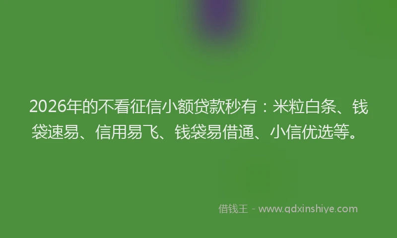 2026年的不看征信小额贷款秒有:米粒白条、钱袋速易、信用易飞、钱袋易借通、小信优选等。