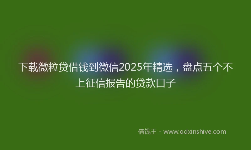 下载微粒贷借钱到微信2025年精选，盘点五个不上征信报告的贷款口子