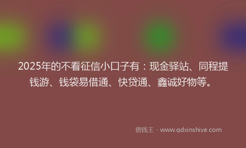 2025年的不看征信小口子有：现金驿站、同程提钱游、钱袋易借通、快贷通、鑫诚好物等。