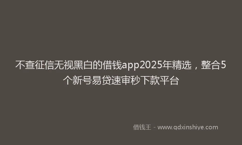 不查征信无视黑白的借钱app2025年精选，整合5个新号易贷速审秒下款平台