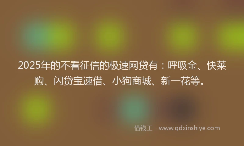 2025年的不看征信的极速网贷有：呼吸金、快莱购、闪贷宝速借、小狗商城、新一花等。