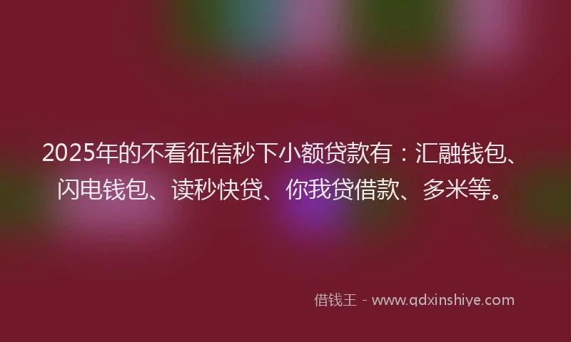2025年的不看征信秒下小额贷款有：汇融钱包、闪电钱包、读秒快贷、你我贷借款、多米等。