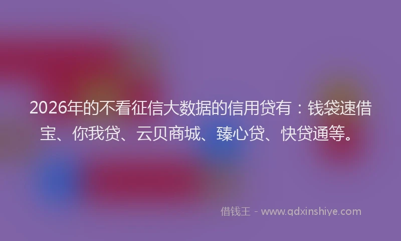 2026年的不看征信大数据的信用贷有：钱袋速借宝、你我贷、云贝商城、臻心贷、快贷通等。