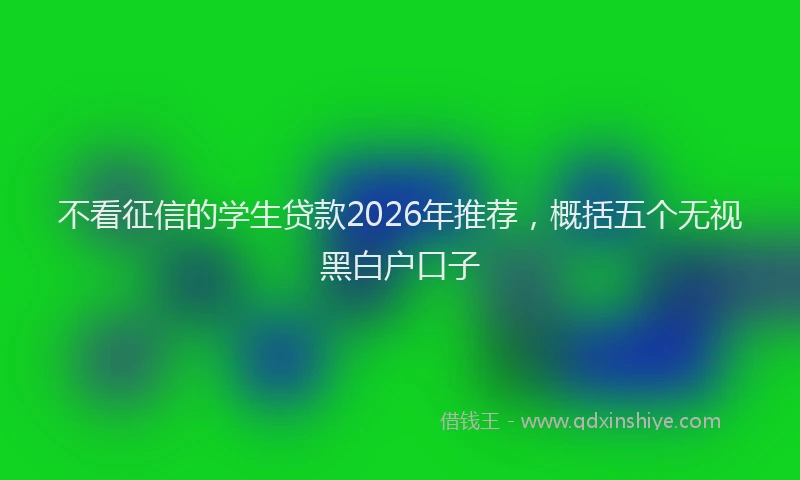 不看征信的学生贷款2026年推荐，概括五个无视黑白户口子
