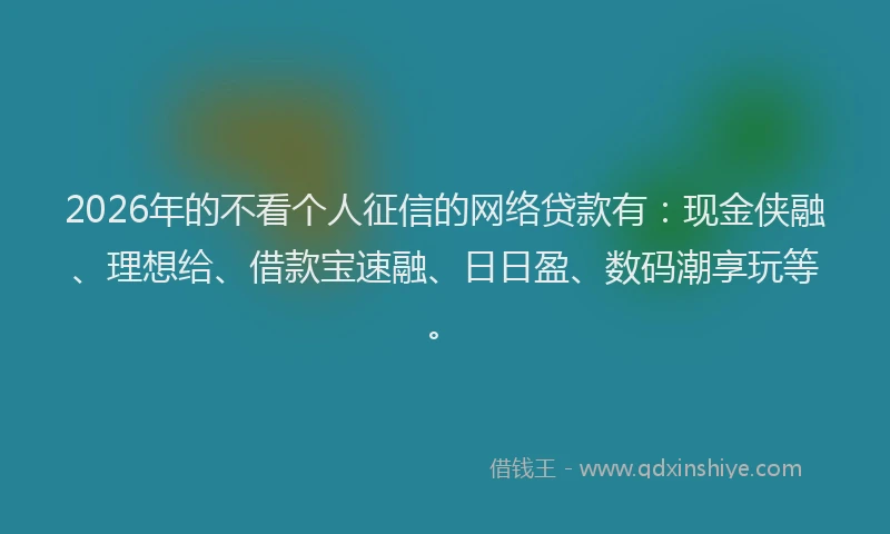 2026年的不看个人征信的网络贷款有：现金侠融、理想给、借款宝速融、日日盈、数码潮享玩等。