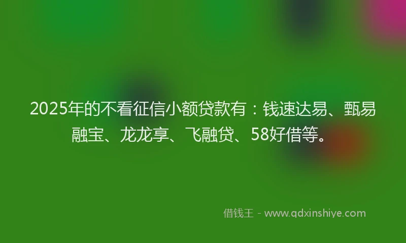 2025年的不看征信小额贷款有：钱速达易、甄易融宝、龙龙享、飞融贷、58好借等。