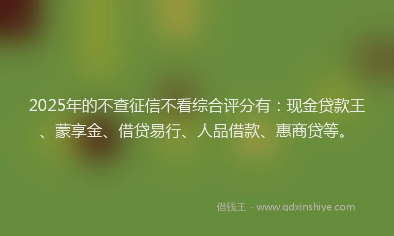 2025年的不查征信不看综合评分有：现金贷款王、蒙享金、借贷易行、人品借款、惠商贷等。