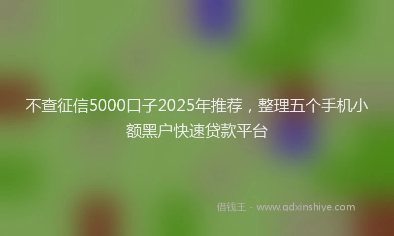 不查征信5000口子2025年推荐，整理五个手机小额黑户快速贷款平台
