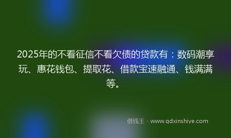 2025年的不看征信不看欠债的贷款有：数码潮享玩、惠花钱包、提取花、借款宝速融通、钱满满等。