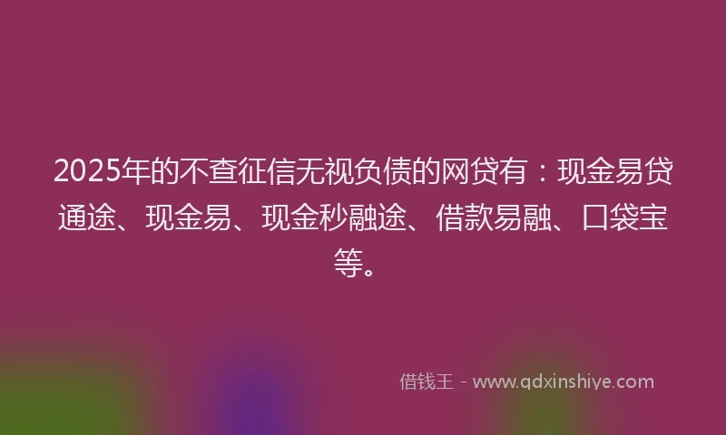 2025年的不查征信无视负债的网贷有:现金易贷通途、现金易、现金秒融途、借款易融、口袋宝等。