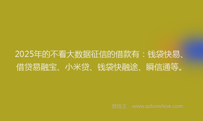 2025年的不看大数据征信的借款有：钱袋快易、借贷易融宝、小米贷、钱袋快融途、瞬信通等。