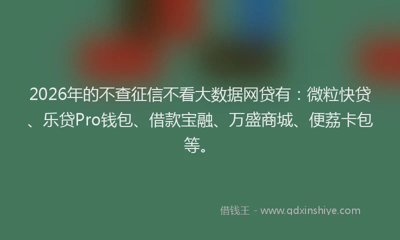 2026年的不查征信不看大数据网贷有：微粒快贷、乐贷Pro钱包、借款宝融、万盛商城、便荔卡包等。