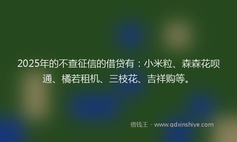 2025年的不查征信的借贷有：小米粒、森森花呗通、橘若租机、三枝花、吉祥购等。
