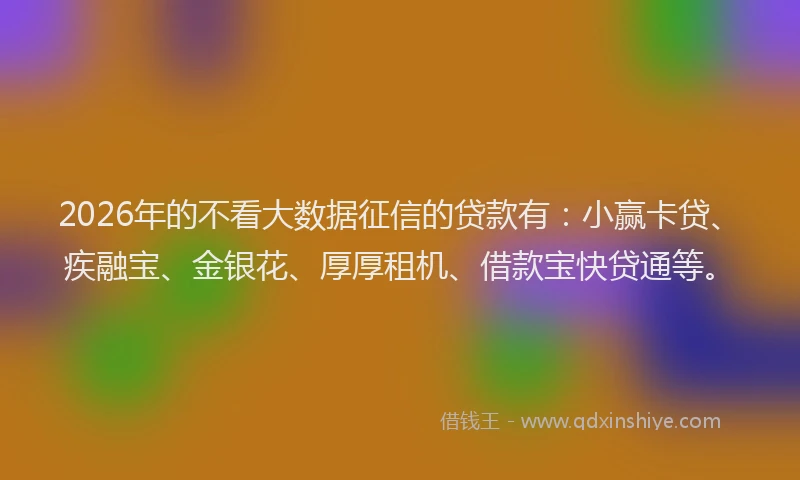 2026年的不看大数据征信的贷款有：小赢卡贷、疾融宝、金银花、厚厚租机、借款宝快贷通等。