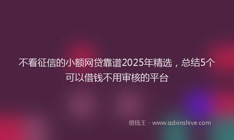 不看征信的小额网贷靠谱2025年精选，总结5个可以借钱不用审核的平台