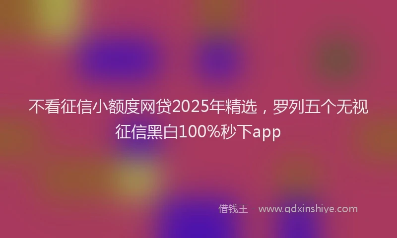 不看征信小额度网贷2025年精选，罗列五个无视征信黑白100%秒下app