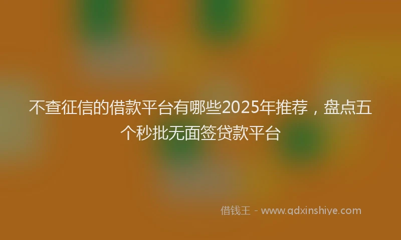 不查征信的借款平台有哪些2025年推荐,盘点五个秒批无面签贷款平台