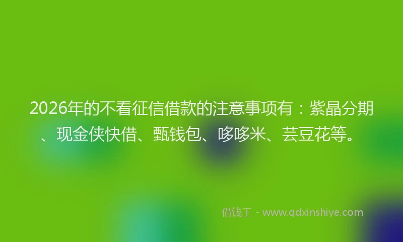 2026年的不看征信借款的注意事项有：紫晶分期、现金侠快借、甄钱包、哆哆米、芸豆花等。