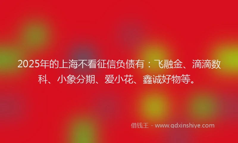 2025年的上海不看征信负债有：飞融金、滴滴数科、小象分期、爱小花、鑫诚好物等。