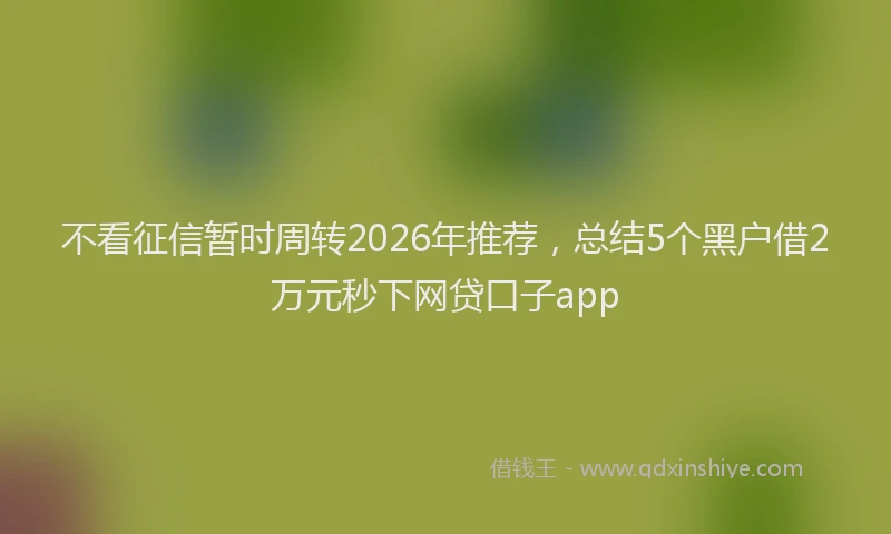 不看征信暂时周转2026年推荐，总结5个黑户借2万元秒下网贷口子app