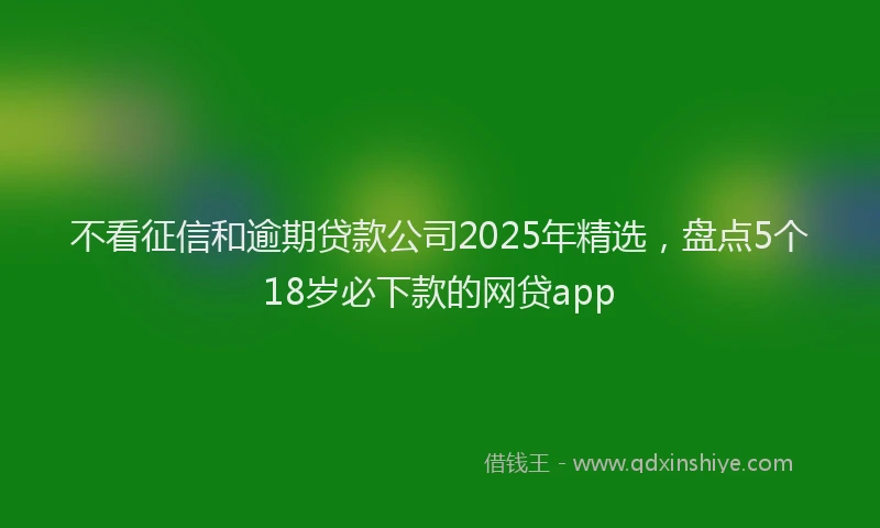 不看征信和逾期贷款公司2025年精选，盘点5个18岁必下款的网贷app