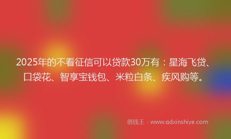 2025年的不看征信可以贷款30万有：星海飞贷、口袋花、智享宝钱包、米粒白条、疾风购等。