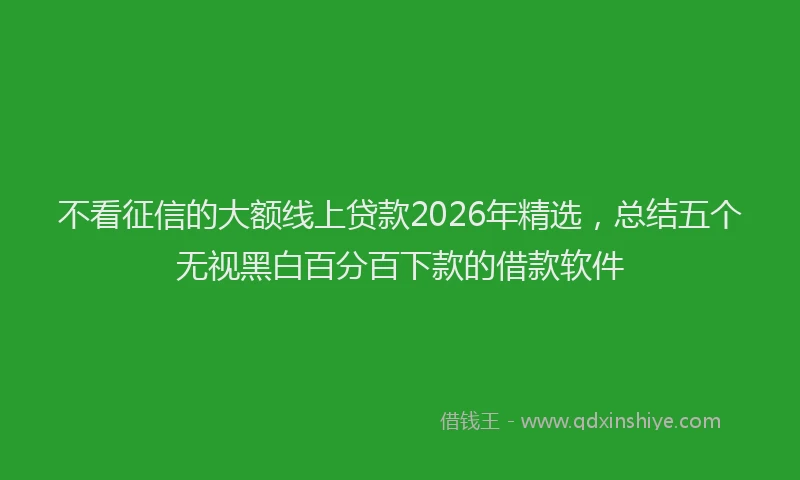 不看征信的大额线上贷款2026年精选，总结五个无视黑白百分百下款的借款软件