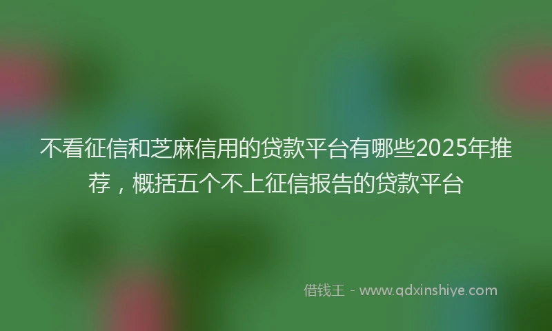 不看征信和芝麻信用的贷款平台有哪些2025年推荐,概括五个不上征信报告的贷款平台