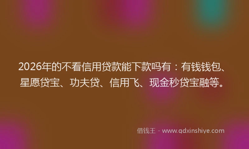 2026年的不看信用贷款能下款吗有：有钱钱包、星愿贷宝、功夫贷、信用飞、现金秒贷宝融等。