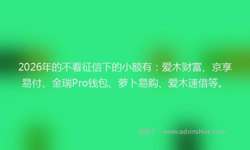 2026年的不看征信下的小额有：爱木财富、京享易付、金瑞Pro钱包、萝卜易购、爱木速借等。
