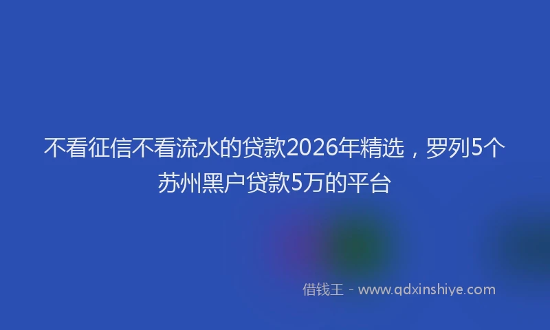 不看征信不看流水的贷款2026年精选，罗列5个苏州黑户贷款5万的平台