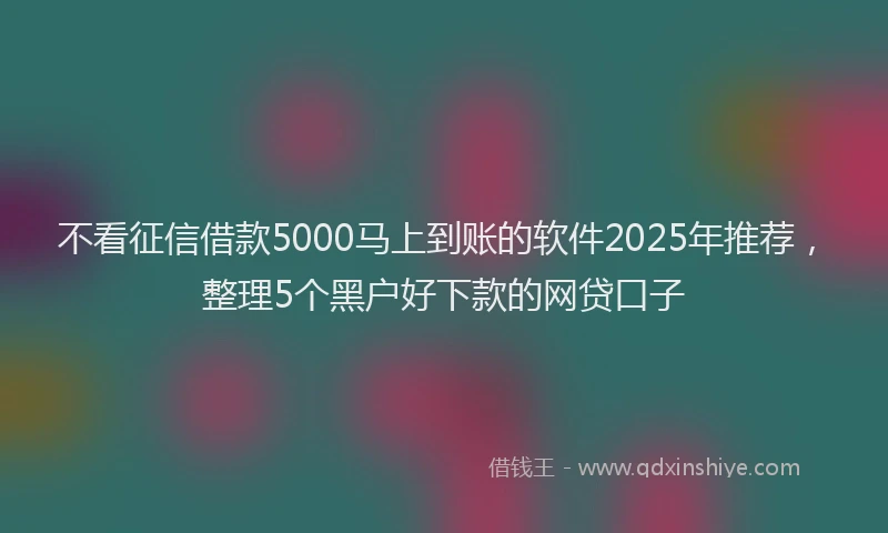 不看征信借款5000马上到账的软件2025年推荐，整理5个黑户好下款的网贷口子