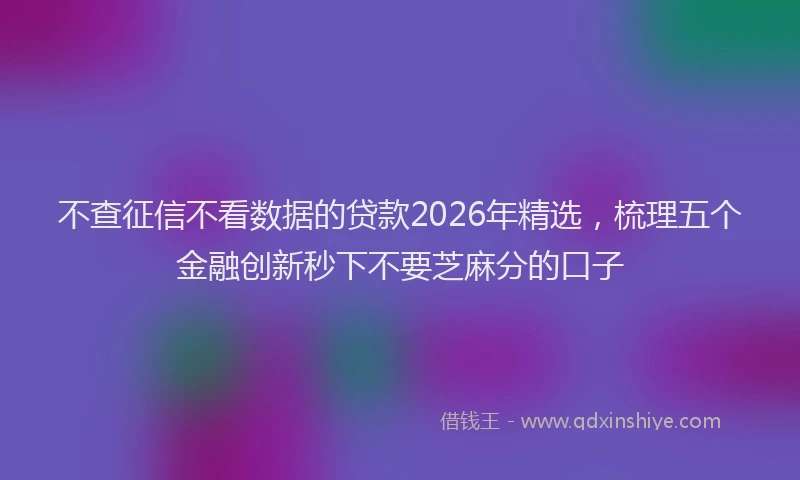 不查征信不看数据的贷款2026年精选，梳理五个金融创新秒下不要芝麻分的口子