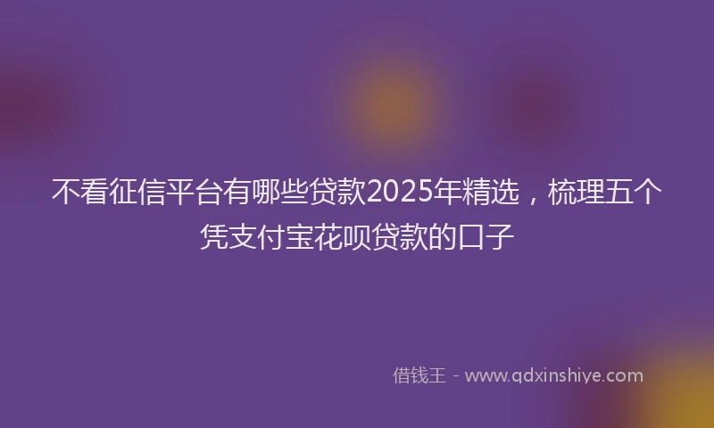 不看征信平台有哪些贷款2025年精选，梳理五个凭支付宝花呗贷款的口子