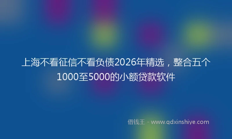 上海不看征信不看负债2026年精选，整合五个1000至5000的小额贷款软件