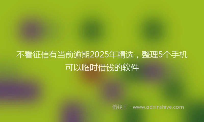 不看征信有当前逾期2025年精选，整理5个手机可以临时借钱的软件