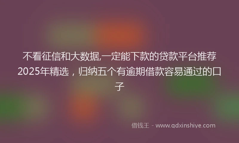 不看征信和大数据,一定能下款的贷款平台推荐2025年精选,归纳五个有逾期借款容易通过的口子