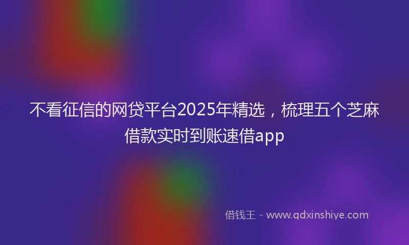 不看征信的网贷平台2025年精选，梳理五个芝麻借款实时到账速借app