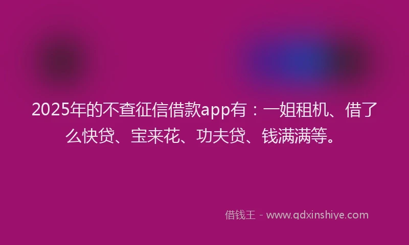 2025年的不查征信借款app有:一姐租机、借了么快贷、宝来花、功夫贷、钱满满等。