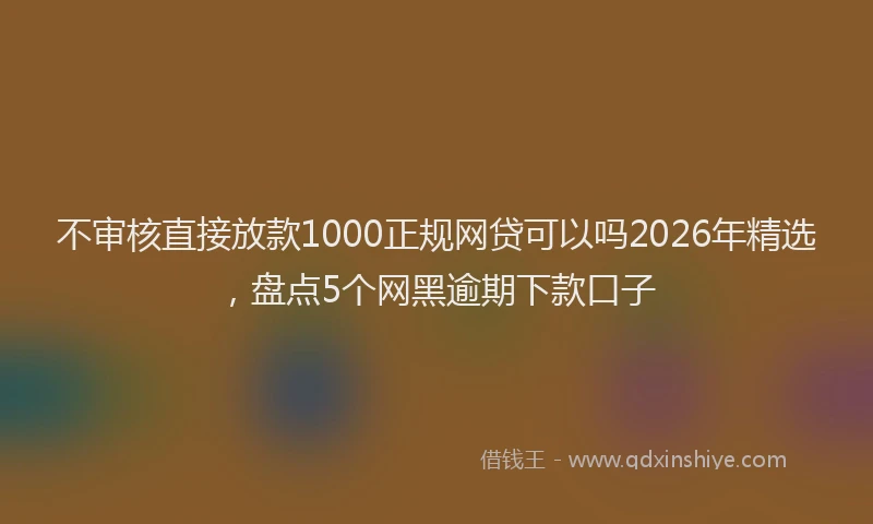 不审核直接放款1000正规网贷可以吗2026年精选，盘点5个网黑逾期下款口子