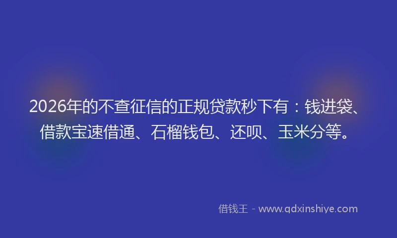 2026年的不查征信的正规贷款秒下有：钱进袋、借款宝速借通、石榴钱包、还呗、玉米分等。