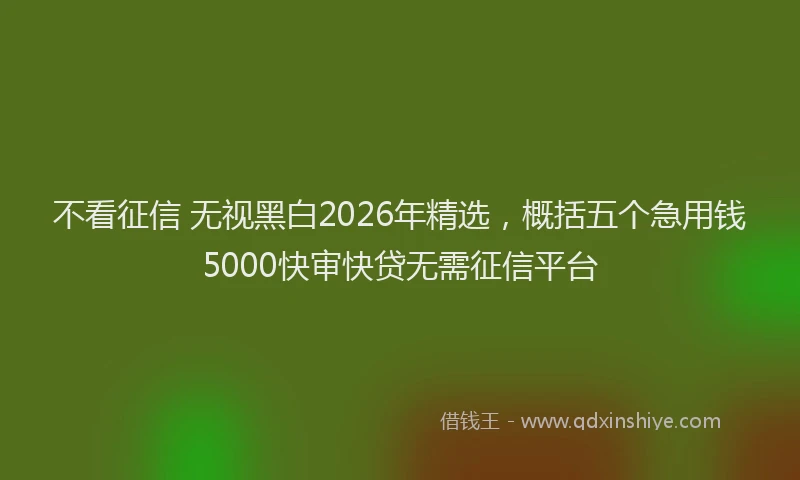 不看征信 无视黑白2026年精选，概括五个急用钱5000快审快贷无需征信平台