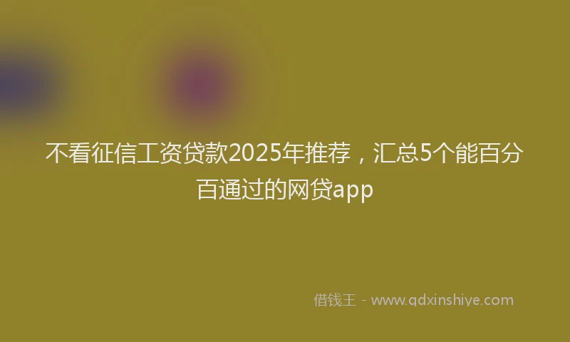 不看征信工资贷款2025年推荐，汇总5个能百分百通过的网贷app