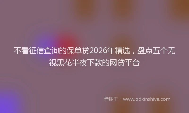 不看征信查询的保单贷2026年精选，盘点五个无视黑花半夜下款的网贷平台