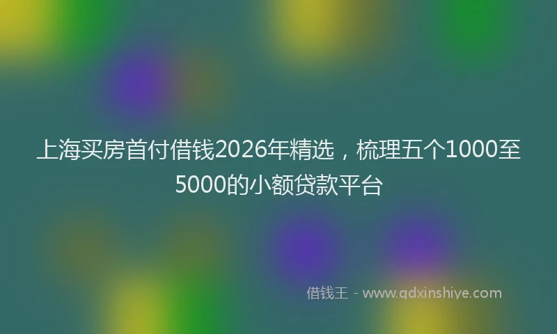 上海买房首付借钱2026年精选,梳理五个1000至5000的小额贷款平台