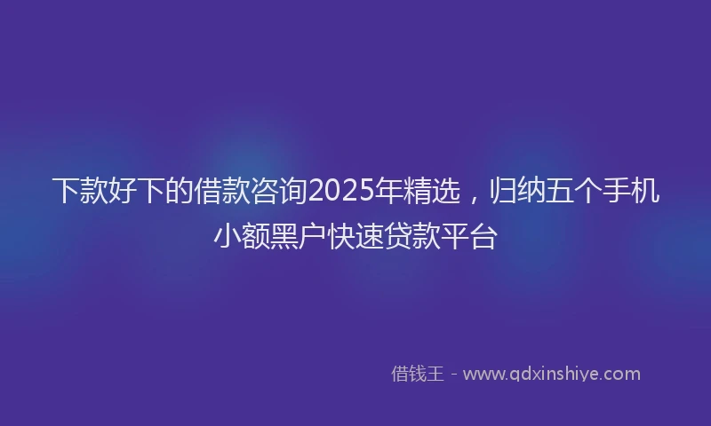 下款好下的借款咨询2025年精选，归纳五个手机小额黑户快速贷款平台