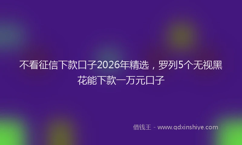 不看征信下款口子2026年精选,罗列5个无视黑花能下款一万元口子