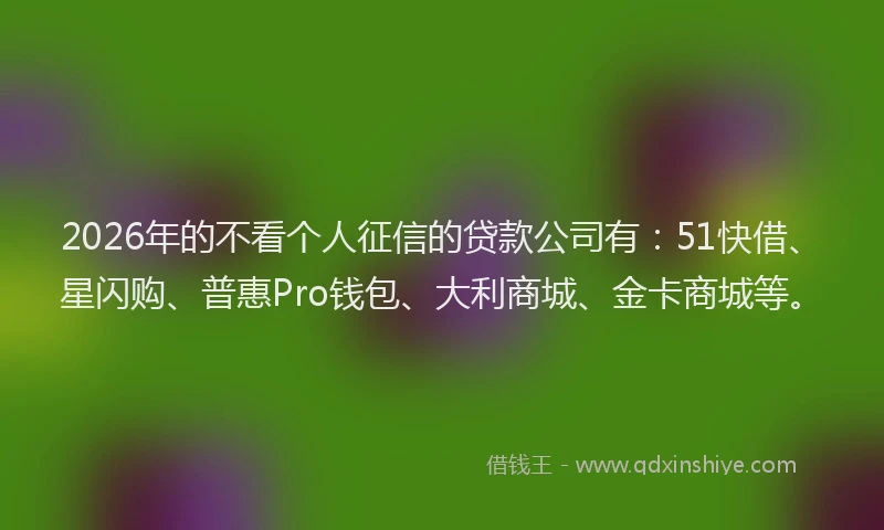 2026年的不看个人征信的贷款公司有：51快借、星闪购、普惠Pro钱包、大利商城、金卡商城等。