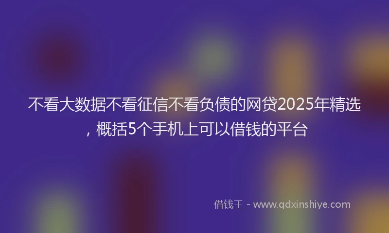 不看大数据不看征信不看负债的网贷2025年精选，概括5个手机上可以借钱的平台